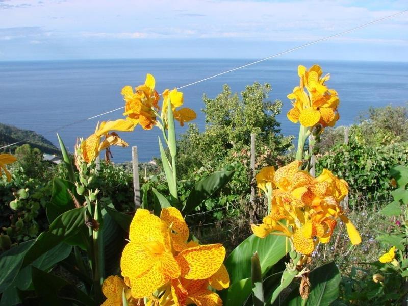 Case Vacanza Reggimonti Cinque Terre Bonassola Kültér fotó