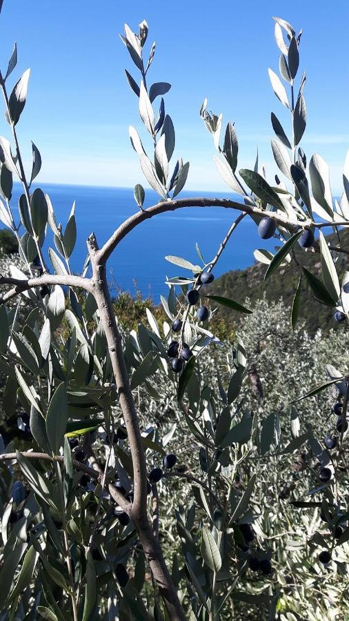 Case Vacanza Reggimonti Cinque Terre Bonassola Kültér fotó